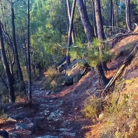 샬레 Maison En Bois En Cevennes Banne